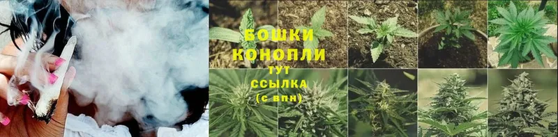 Конопля марихуана  blacksprut онион  Далматово  купить  